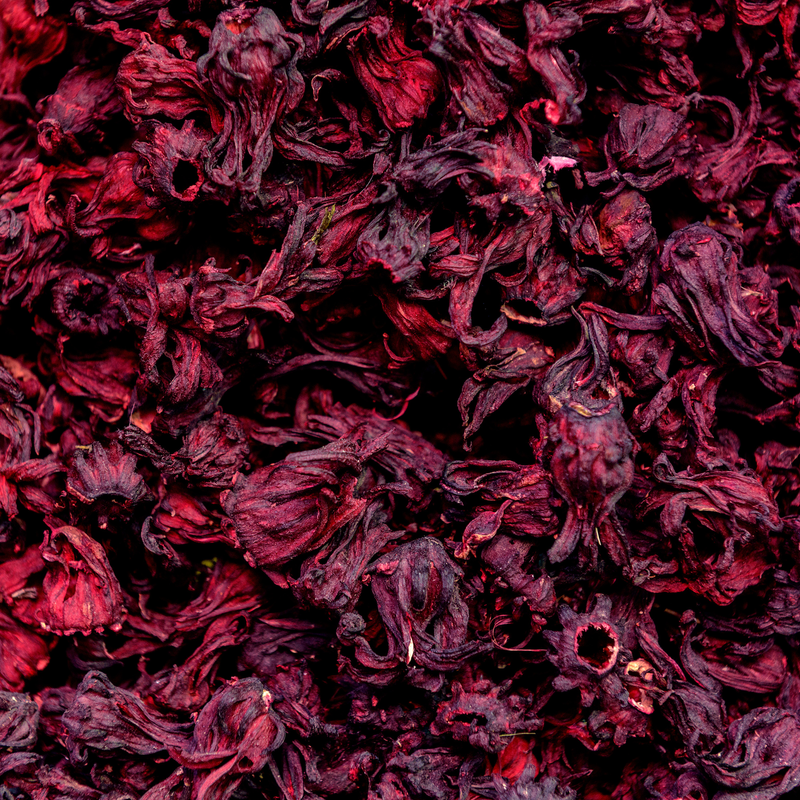 🌺 Flor de Jamaica