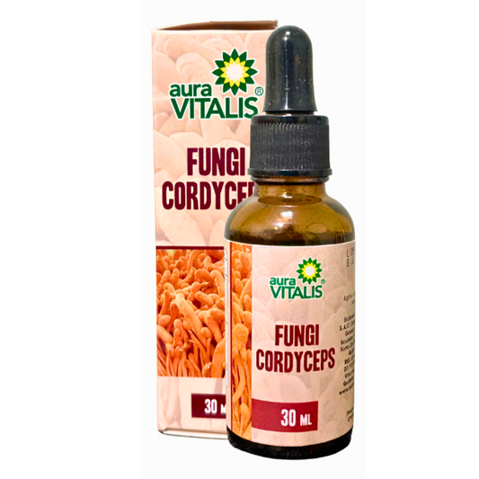 Fungi Cordyceps