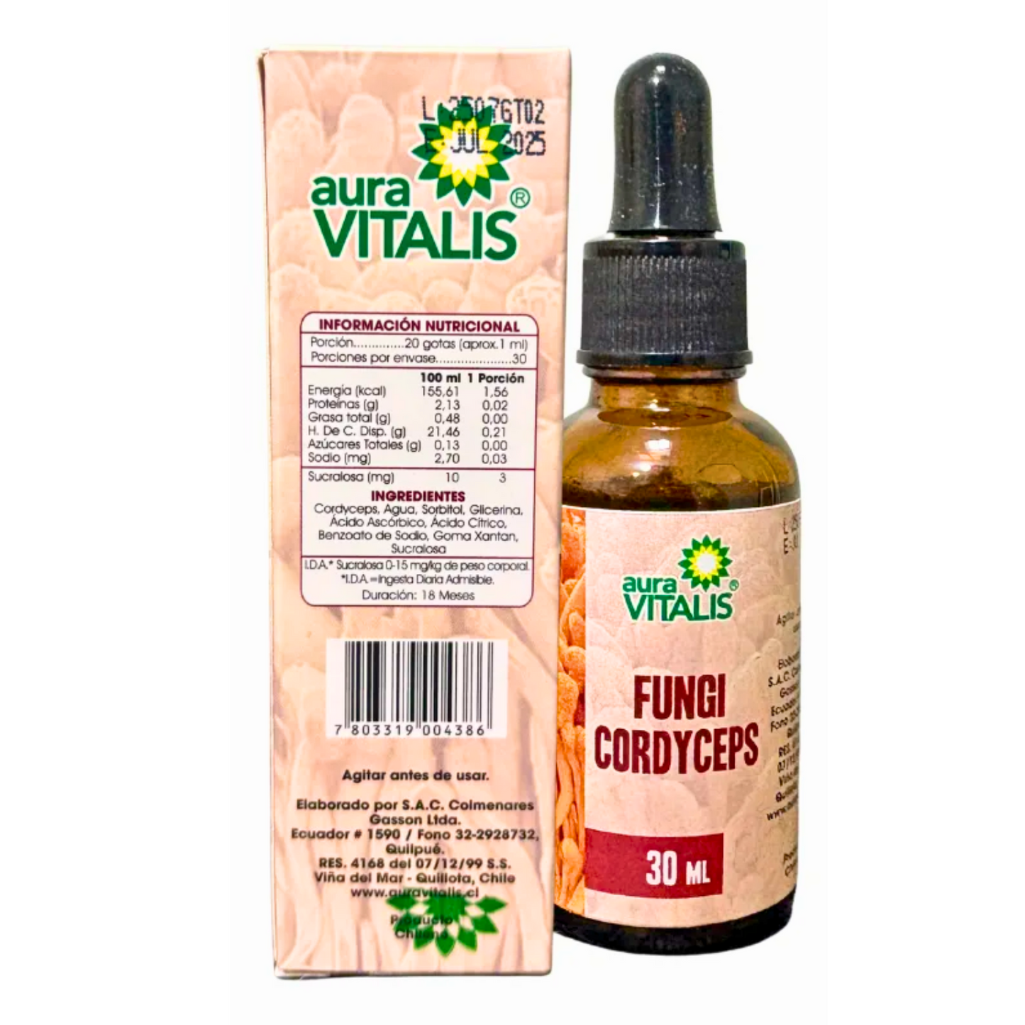 Fungi Cordyceps