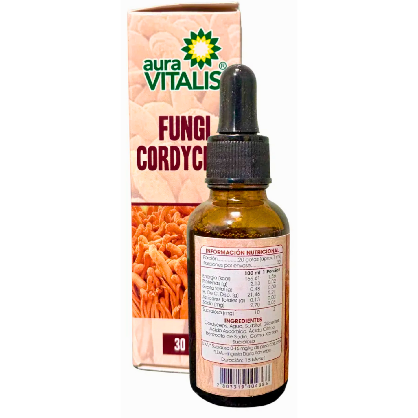 Fungi Cordyceps