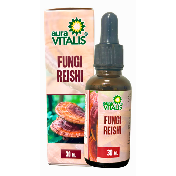 Fungi Reishi