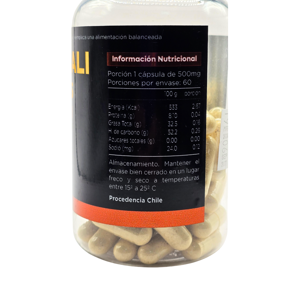 60 Cápsulas Tongkat Ali 500mg